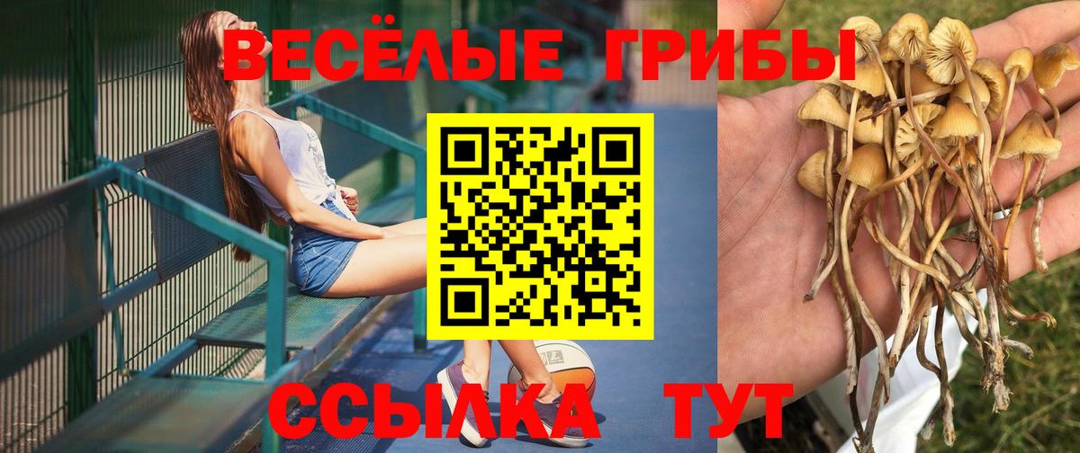 Псилоцибиновые грибы мицелий  Вход с VPN  Чернушка 