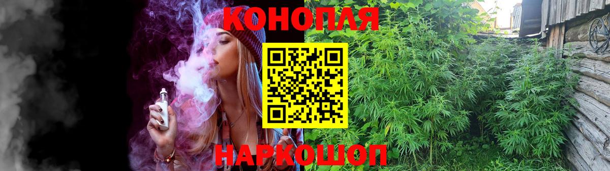 Бошки Шишки VHQ  Бошки Шишки White Widow  Вход с VPN  Чернушка  Канабис гибрид 